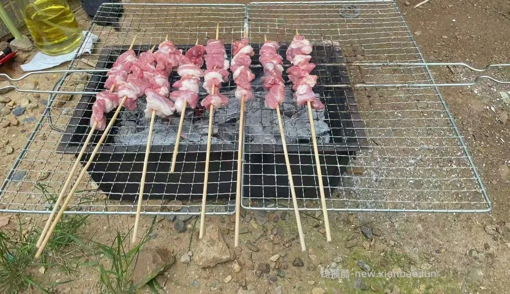 朋友们，又到了烧烤的季节 - 线报酷
