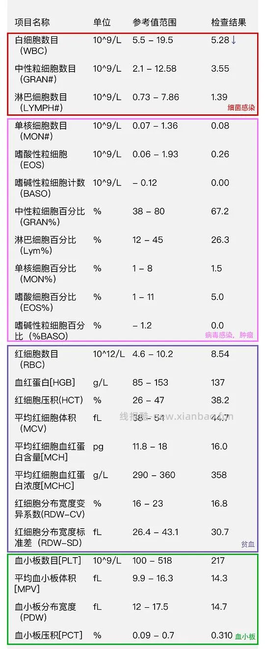【科普】猫咪年度体检都检了些啥 - 线报酷