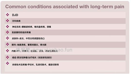 【科普】[养猫笔记06] 如何让中老年猫尽量健康的老去（Healthy aging）：养护指南要点总结 - 线报酷