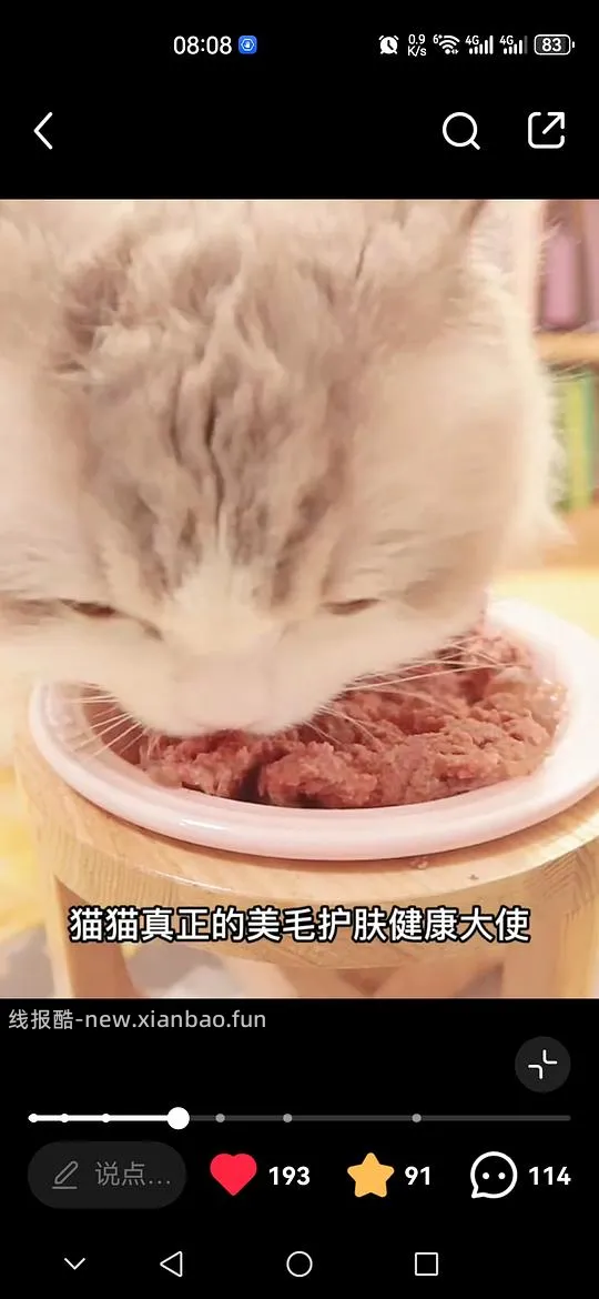 讨论/【科普】主流熟自制红白肉脂肪选择是否倒错 - 线报酷