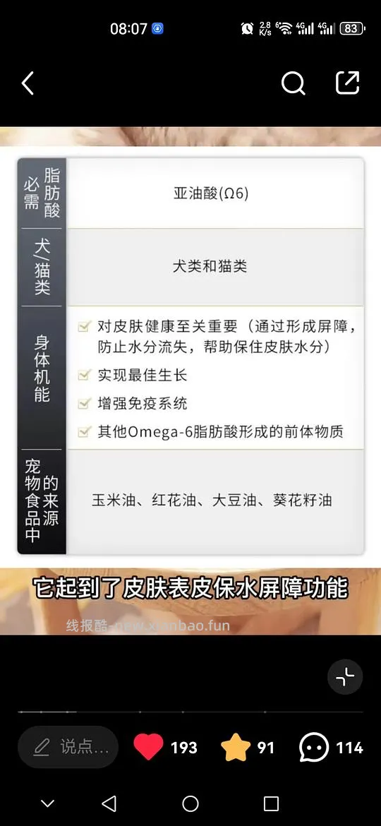 讨论/【科普】主流熟自制红白肉脂肪选择是否倒错 - 线报酷