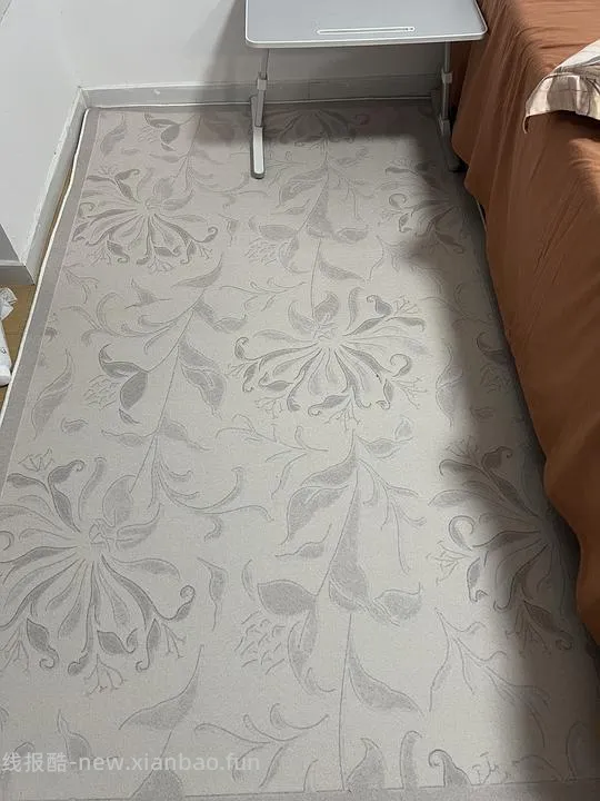 卧室地毯1.2*2m，60左右 - 线报酷