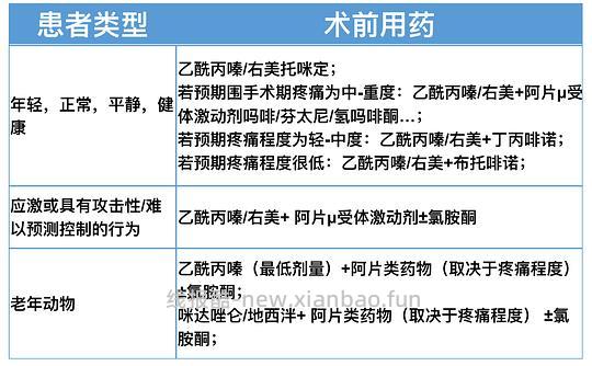 【科普】[养猫笔记07]麻醉（Anesthesia）— 小动物手术最大的风险来源之一（上） - 线报酷