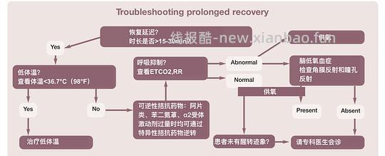 【科普】[养猫笔记07]麻醉（Anesthesia）（下） - 线报酷