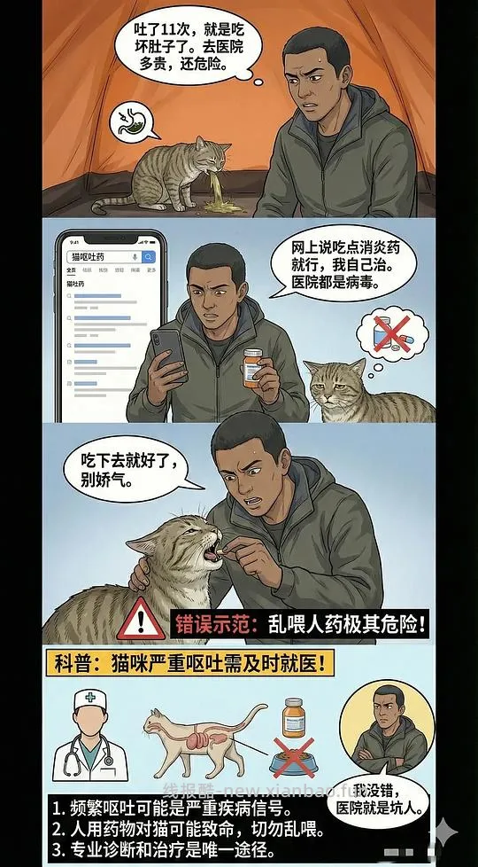 【科普】养猫科普漫画，持续更新中（1.20更新熟自制、猫饭、猫粮营养值计算） - 线报酷