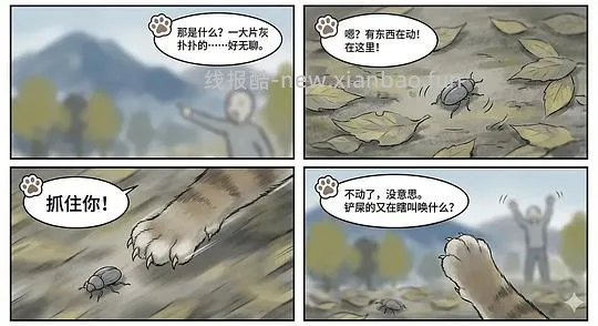 【科普】养猫科普漫画，持续更新中（1.20更新熟自制、猫饭、猫粮营养值计算） - 线报酷
