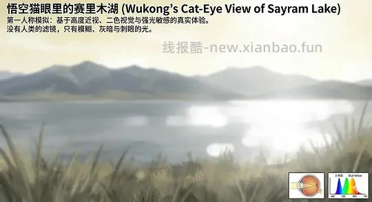 【科普】养猫科普漫画，持续更新中（1.20更新熟自制、猫饭、猫粮营养值计算） - 线报酷