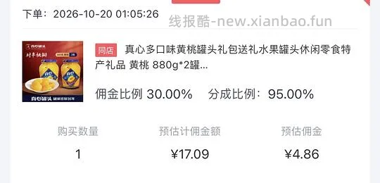 真心黄桃罐头880g  不到13两罐 - 线报酷