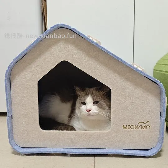 30r两个毛毡猫窝 - 线报酷 30r两个毛毡猫窝 - 线报酷