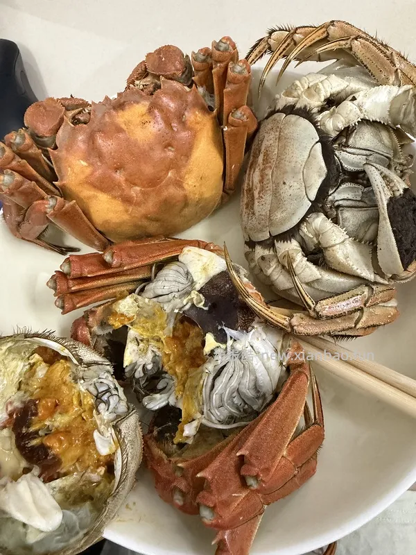大闸蟹3.0-3.3两8只118 - 线报酷