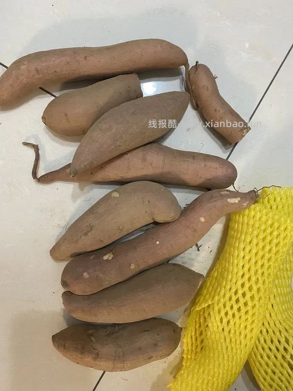 糯玉米4.4斤18元10根 - 线报酷