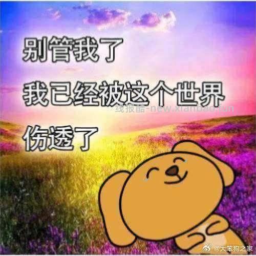 【教程】硬核转码+力扣题解+刷题教程（不学cs61b版）、欢迎结课来报喜！💐💐💐 - 线报酷