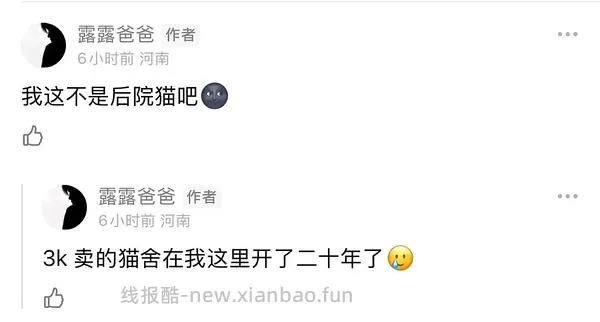 【科普】‼️‼️别问啦别问啦！买了后院猫，我不说还不行吗？！后院讨论科普避雷帖，欢迎大家补充😛 - 线报酷