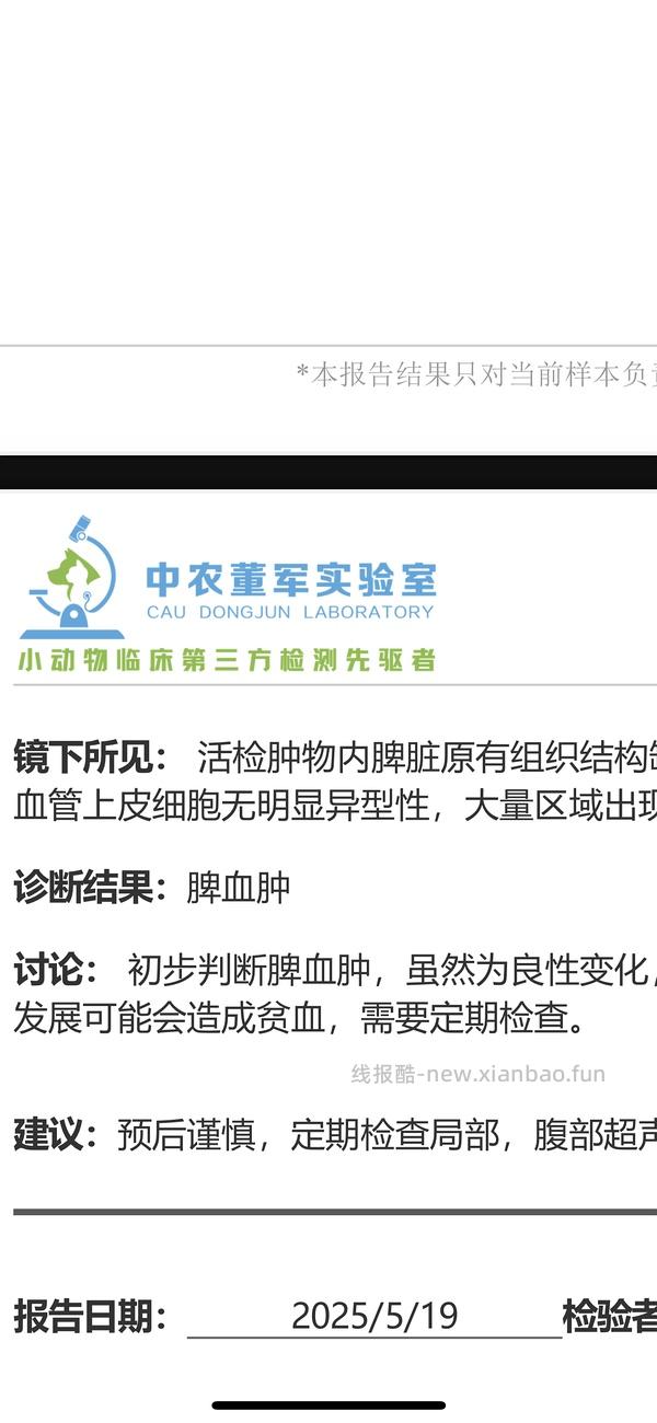 讨论/【科普】猫得了肿瘤怎么办 - 线报酷