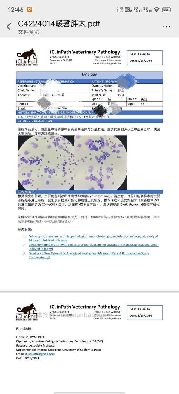 讨论/【科普】猫得了肿瘤怎么办 - 线报酷