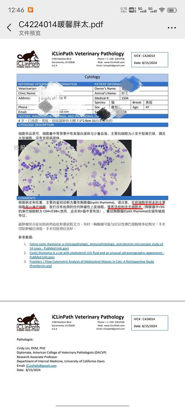 讨论/【科普】猫得了肿瘤怎么办 - 线报酷