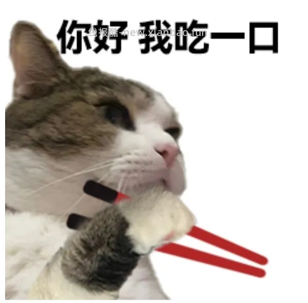 ：vetwish鱼油90粒到手78，不知道算不算好价 - 线报酷