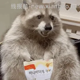 斐乐硬糖好价 - 线报酷