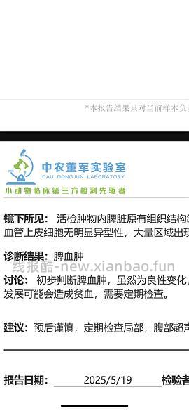 讨论/【科普】猫得了肿瘤怎么办 - 线报酷