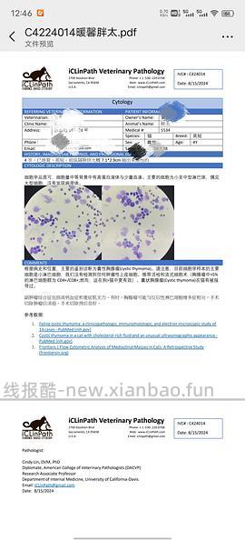 讨论/【科普】猫得了肿瘤怎么办 - 线报酷