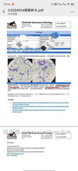 讨论/【科普】猫得了肿瘤怎么办 - 线报酷
