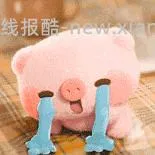 （车好像跑了）爱奇艺白金会员13个月180左右 看号 - 线报酷