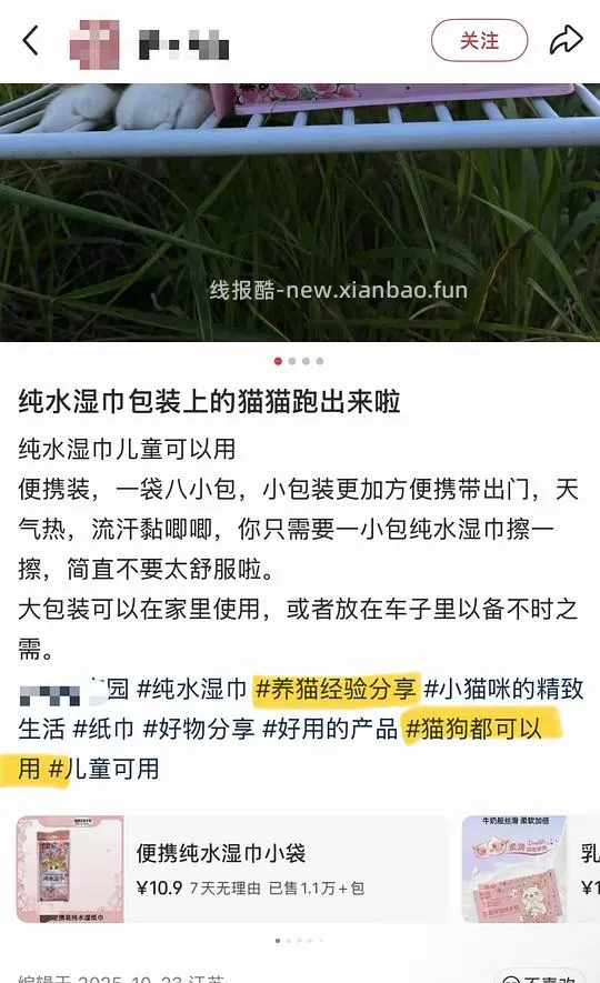 讨论|【科普】市面上的湿巾对猫有较大风险,母婴纯水湿巾≠只有水≠宠物友好,其中的丙二醇会造成溶血性贫血 - 线报酷 讨论|【科普】市面上的湿巾对猫有较大风险,母婴纯水湿巾≠只有水≠宠物友好,其中的丙二醇会造成溶血性贫血 - 线报酷